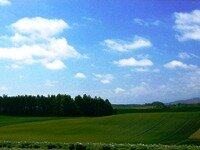 Госдума может ввести новые сроки аренды земли в РФ